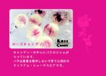 バラのお菓子セット - 画像 (2)